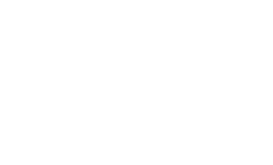 AWS-WHITE-300